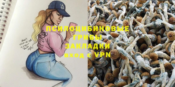 мяу мяу мука Заволжск