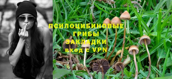мяу мяу мука Заволжск