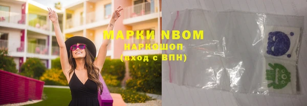 сатива Заволжье