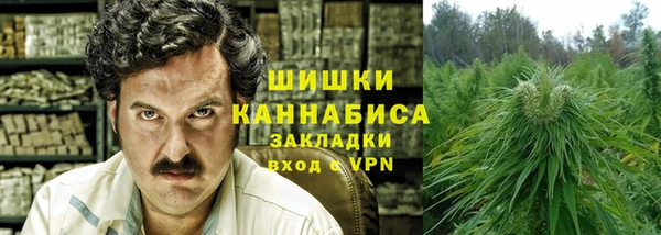 PSILOCYBIN Елизово