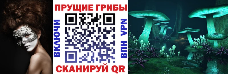 Купить закладки  Малоархангельск  Псилоцибиновые грибы MAGIC MUSHROOMS 